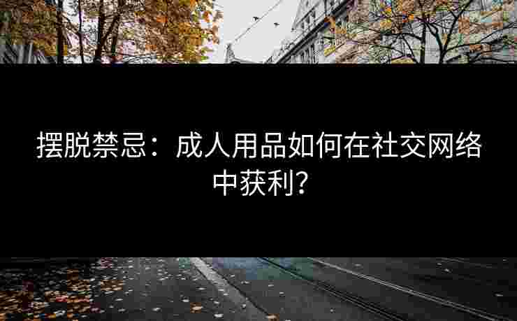 摆脱禁忌：成人用品如何在社交网络中获利？