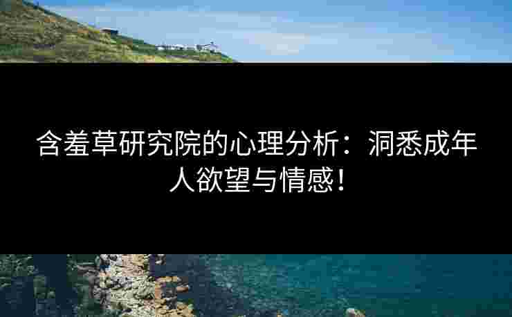含羞草研究院的心理分析：洞悉成年人欲望与情感！